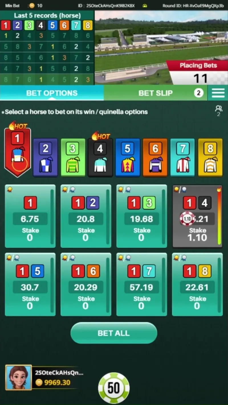 KM VIRTUAL HORSE RACING