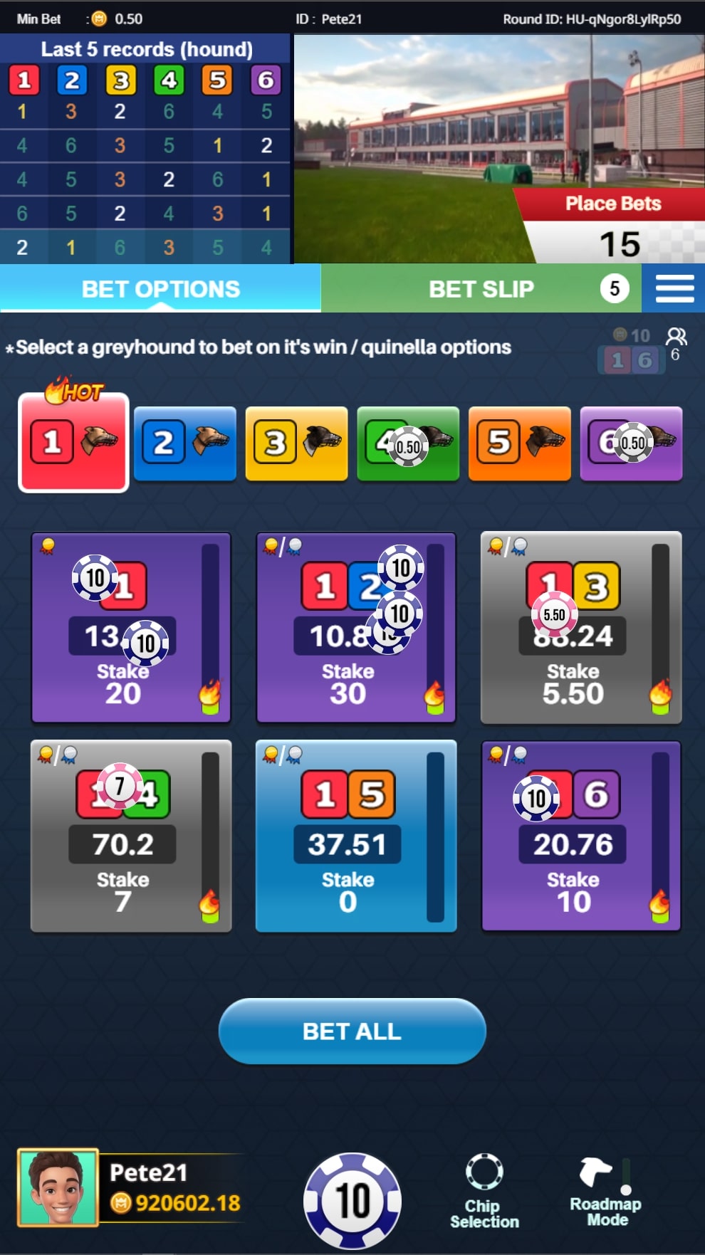 KM VIRTUAL GREYHOUND RACING